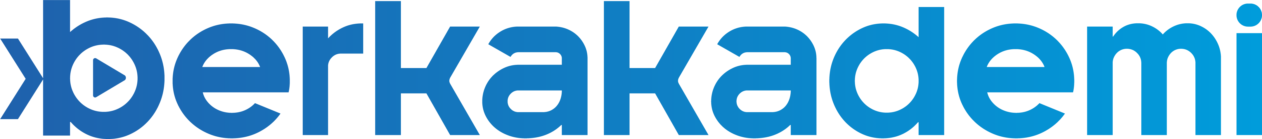 Berk Akademi